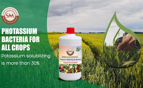 SM SRIMALAR ENTERPRISES ® Potassium Solubilizing and Mobilizing Bactr ...