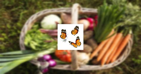 Obituary | Deborah Kay Beall | Grandle Funeral Home, Inc.