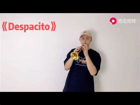 Despacito（ 慢慢来）唢呐版 - YouTube