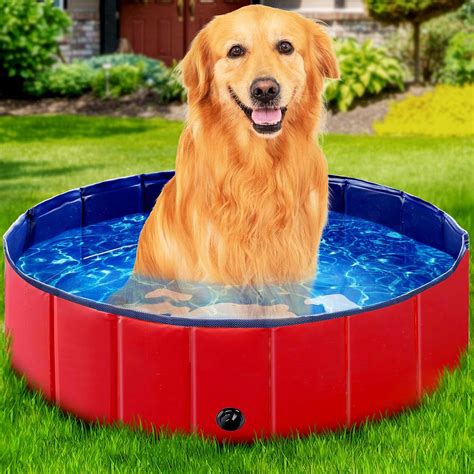 StarOcean Foldable Dog Pool, Kiddie Pool Hard Plastic Pool for Kids ...