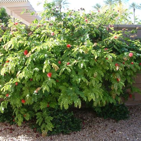 Della Luxury Products | Iconic Projects Design, Manufacturing & Built