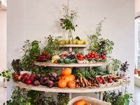 Farm Shop Program 的图像结果