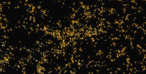 Saraswati supercluster: Top 5 facts to know about the newly-discovered ...