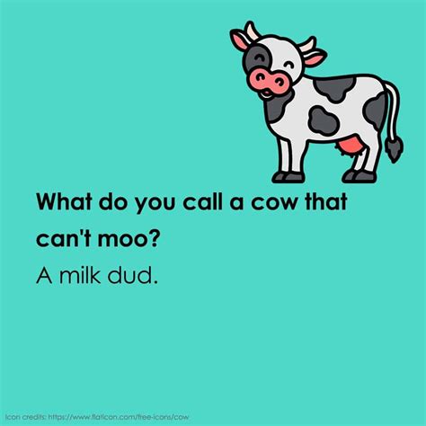 Funny Kids Animal Jokes