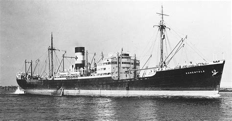 Magazine - After the news | Scroll.in