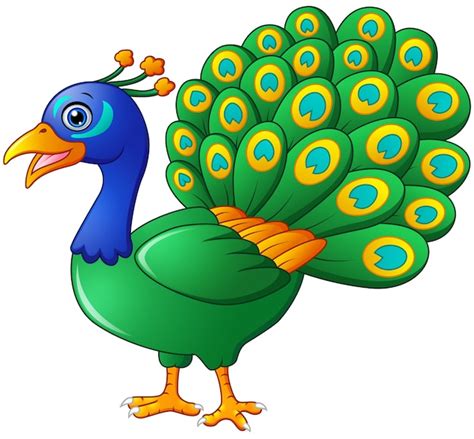 Happy peacock cartoon isolated on white background | Premium Vector