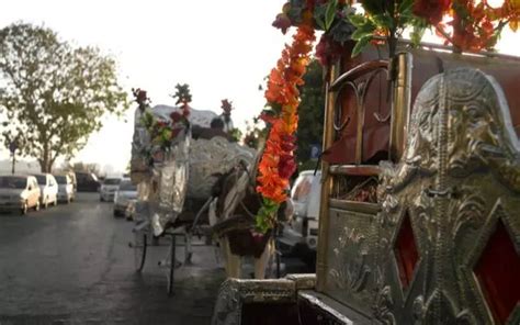 Victorian Carriages Are Making A Comeback On Mumbai Streets And We ...