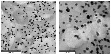 Silver Nanoparticle Production Mediated by Vitis vinifera Cane Extract ...