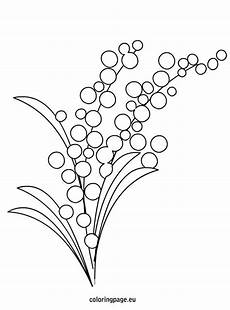 fiori disegnati da bambini mimosa flower coloring page tvorenie fiori mamma e fiori disegnati da bambini mimosa flower coloring page tvorenie fiori mamma e