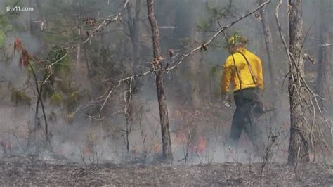 What you need to know about Arkansas under burn bans, moderate wildfire ...