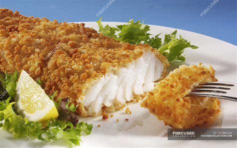 Image result for Deep Fried Cod Fish Recipes