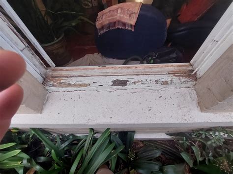 Timber Window Sill Replacement 的图像结果