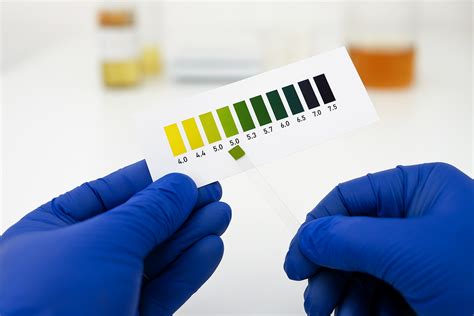 Vaginal pH Balance: What’s Normal, What’s Not, and Key Symptoms