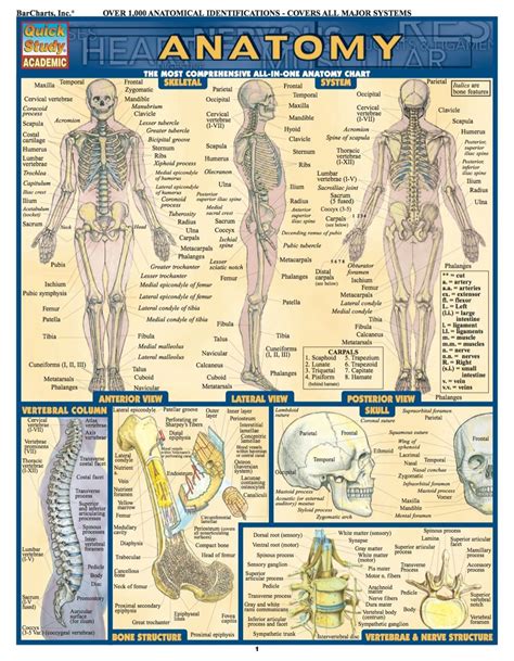 ANATOMY FUNDAMENTALS: LIFE SCIENCE STUDY GUIDE (eBook Rental) | Human anatomy and physiology ...