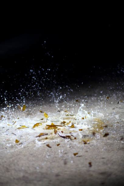 Image result for Beer Explode