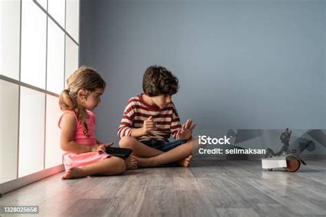 Sister Robot 的图像结果