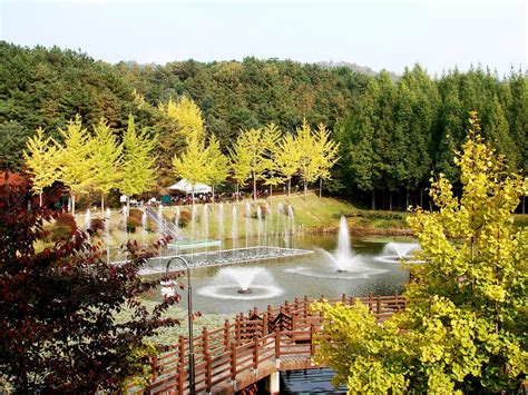 THE 30 BEST Places to Visit in Cheongju (2025) - Must-See Attractions