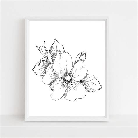 North Dakota State Flower | Best Flower Site