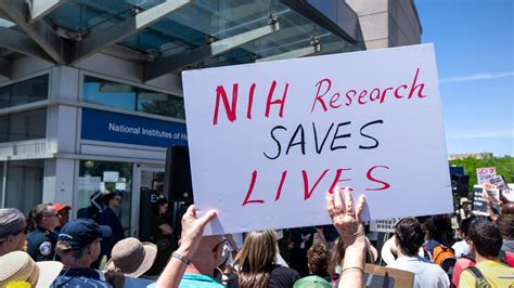 Judge orders Trump's NIH grant cuts reversed | The Week