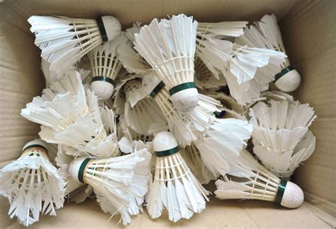 Badminton Equipment List 的图像结果
