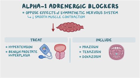 Alpha-1 adrenergic blockers: Nursing pharmacology - Osmosis Video Library