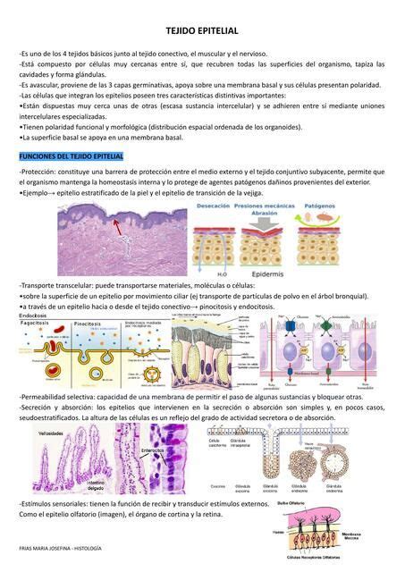 Image result for Informational Data Example