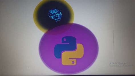 Python Programming Basics 的图像结果