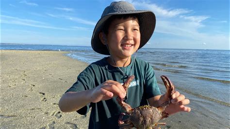 Cape Cod Vlog 的图像结果