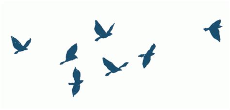 Image result for Numpy Array Component Print