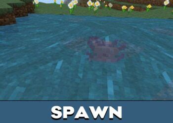 Image result for Minecraft Java Edition Axolotl Mod