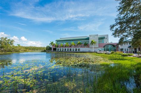 Image result for Student Clearinghouse Transcript