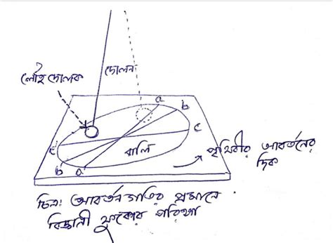 Model Activity Task Class 9 Bengali 的图像结果
