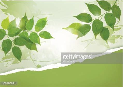 Plain Spring Background 的图像结果