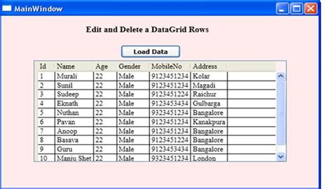 Image result for WebDataGrid UI Pattern Delete Edit