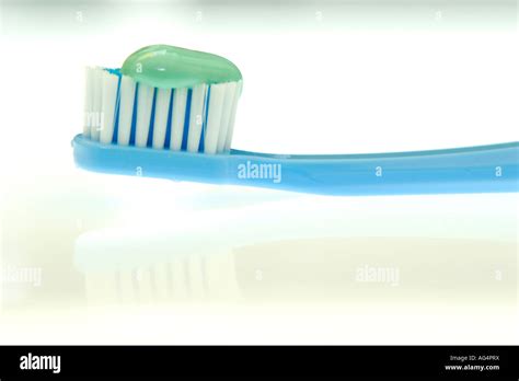 Toothbrush and Toothpaste 的图像结果