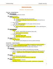 Image result for Understanding How Adaptive Immunity Works