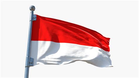 Flag Animation Maker 的图像结果