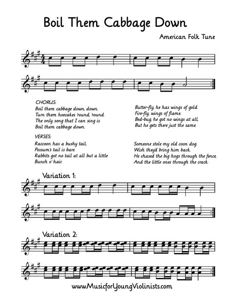 Boil Cabbage Down Violin at Victoria Gregory blog