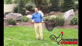 Image result for Net to Catch Chickens