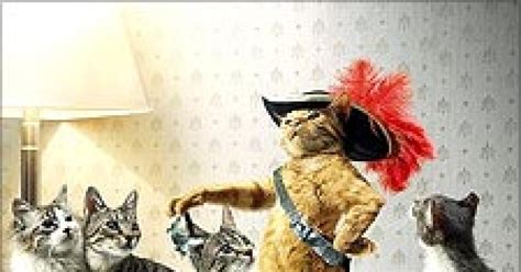 Will Puss in Boots be as popular as Shrek? - Rediff.com movies