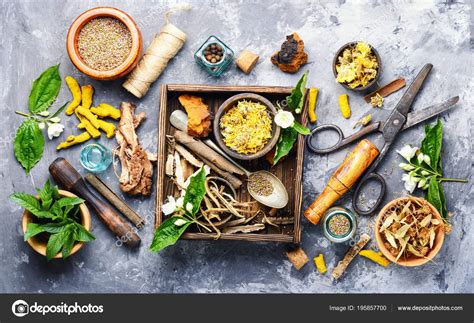 Natural Herbal Medicine 的图像结果