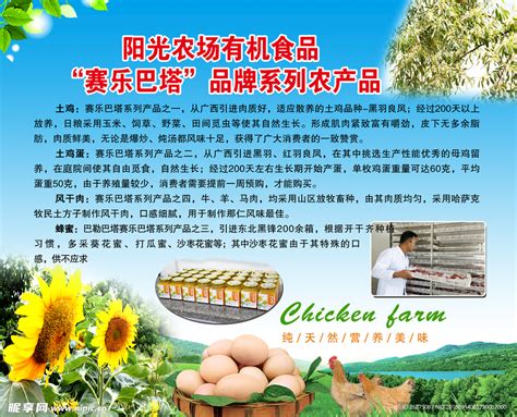 上海农副产品市场保证供应平稳_滚动新闻_新浪财经_新浪网