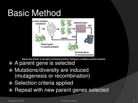 Image result for Directed Evolution Lecture