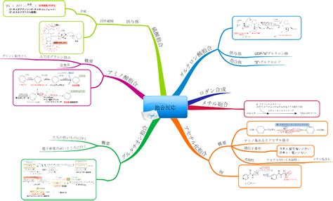 Projects with Python and SQL 的图像结果