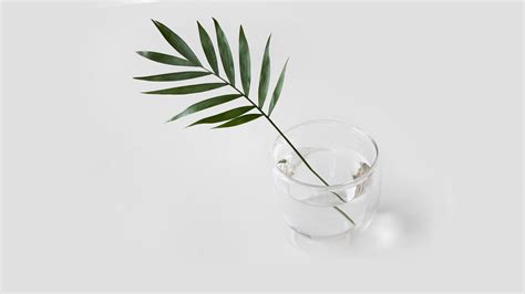 Designrr.io Scam 的图像结果