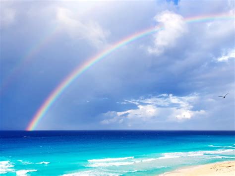 双彩虹在海滩-2014高清桌面壁纸预览 | 10wallpaper.com