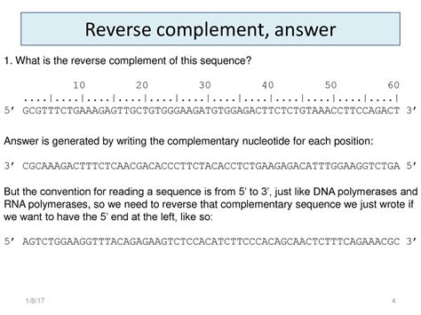 Image result for How to Make Reverse Complement DNA in Python 3.8