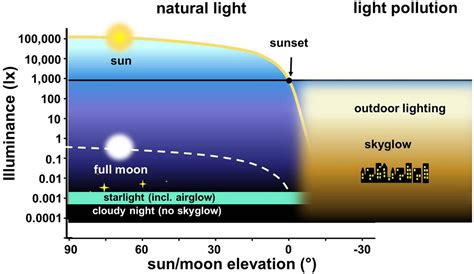 Frontiers | 11 Pressing Research Questions on How Light Pollution Affects Biodiversity