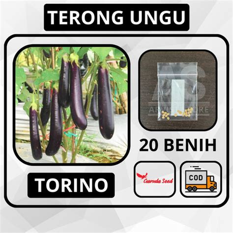 Jual 20 Butir - Terong Ungu TORINO Garuda Seed Bibit Tanaman Sayuran ...