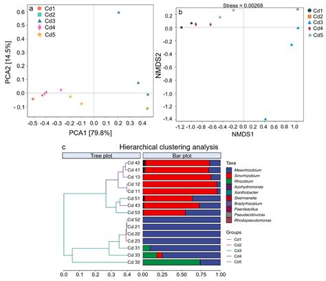 Diversity of nifH Gene in Culturable Rhizobia from Black Locust ...